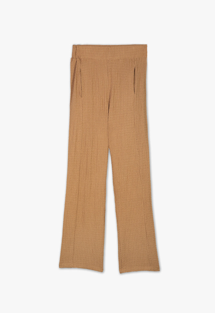 Knitted Waves Textured Solid Trouser