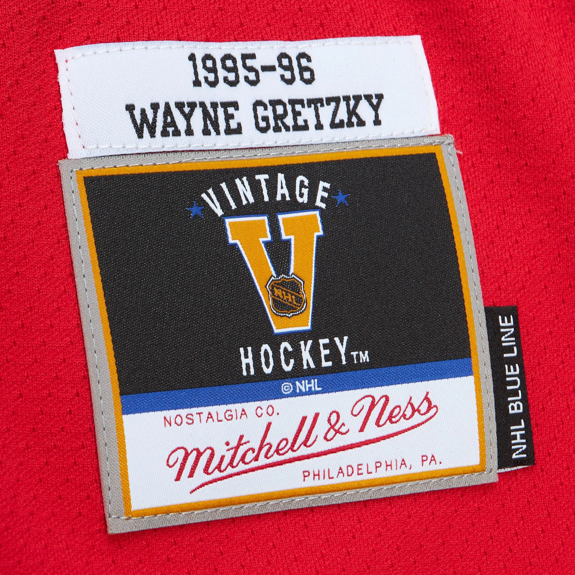 Mitchell & Ness St Louis Blues Blue Line Hockey Jersey - 1995 Gretzky